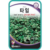 주주씨앗 타임 300립 / 타임 꽃 허브 씨 종자 화단만들기 조경가꾸기 홈가드닝 꿀풀들과 티아라 Tiara thym thymus vulgaris