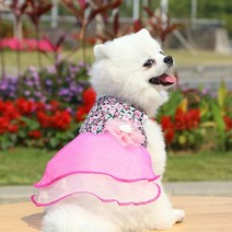 강아지 드레스 원피스 봄과 여름 애완 동물 귀여운 스커트 고양이 공주 한복 의류 사랑스러운 개, [04] A4