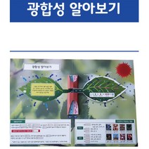 광합성 실험 식물구조이해 초등교구 방과후과학 세트 엄마표 홈스쿨 과학실