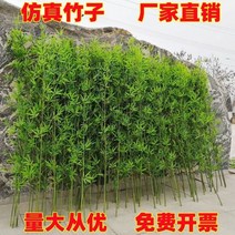 플랜트월 수직정원 벽면녹화 그린월 벽화분 대나무 인테리어, M.높이 2m 대나무 1개