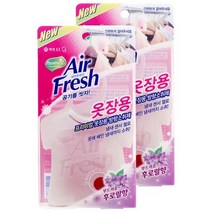 [애경] 홈즈 수납공간 방향소취제 에어후레쉬 - 후로랄향(옷장용) 32g+32g, 32g, 2개