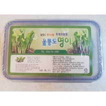 후계자농원 (울릉발송)청정 울릉도 자연산 산마늘 명이나물 절임나물 장아찌 1kg(하드케이스)