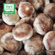 [더자연] 두메골농원 영양 무농약 버섯 착한 송이 500g 가정용, 상세 설명 참조