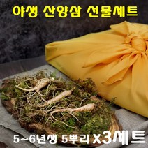 경성건강원 산양삼 생산양삼 자연산 산양산삼 뿌리 잎 녹즙 씹어먹는 사포닌 면역력 기력 국내산 강원도 쥬스 부모님선물 먹는법 선물세, 3세트, 5뿌리