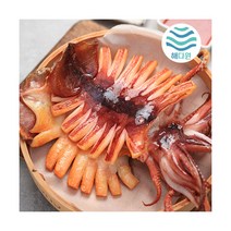 [해다원] 해를품은 반건조오징어 특10미(1.45~1.5kg)/경북영덕, 상세 설명 참조