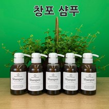 [더위치]청량감 창포 샴푸만들기 키트 250ml 5개 한방샴푸