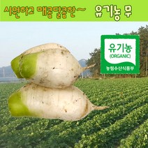 무우 유기농 무 2kg, 4kg