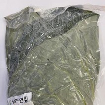 연잎(냉동) 약8장 1kg, 단품, 단품