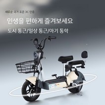 감성 전동 스쿠터 전기 자전거 48V 13AH 출퇴근용, D. 그레이 탑  /그래 핀 배터리