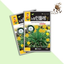노랑민들레 1000립 세계종묘 화훼류 씨앗 식용민들레, 1개