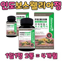 2달분 인도산 보스웰리아 알약모양 정타입 보스웰릭산 65% 고함량 먹기편한 70대 80대 노인 남성 여성 어르신 어른 생일 선물 에좋은 추천 홈쇼핑 녹색입홍합 분말 상어 연골