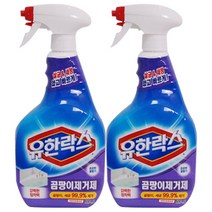 유한락스 곰팡이 제거제 600ml, 2개
