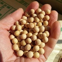 (마을기업싸리재) 흰콩(백태)1kg, 상세페이지 참조, 상세페이지 참조