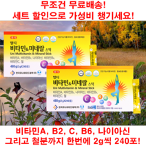 종합 멀티 비타민 A B2 B6 C 나이아신 철분 미네랄 분말 가루 영양제 240포 2개