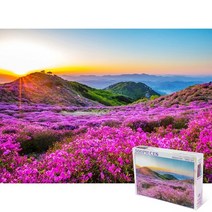 퍼즐피플 황매산 철죽 500피스 풍경 직소퍼즐, 황매산 철죽 500피스(액자없음), 500p