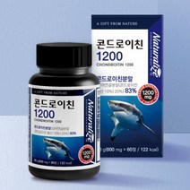 콘드로이친 1200 콘드로가이드 콘드로이드 콘드로이틴 콘트로이친 콘도로친 콘도로이친 콘드레이친