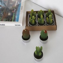 캔들공방 재료 워머 우드윅 석고 방향제 소이 테라리움 용기 미니, 11