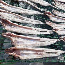국내산 반건조 말린 장어 아나고 (바다장어 붕장어) 500g 중+대 소, 국산 장어포 소 500g, 2개