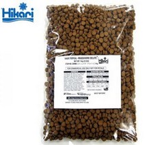 히카리 싱킹 카니발 (빅캣 대입자) 1kg 벌크, 1개