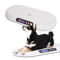 스타스포츠 전자 체중계 유아 반려동물 몸무게 측정, XH580_화이트
