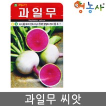 과일무씨앗 100립