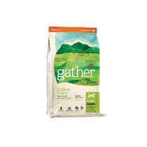 게더 앤드레스밸리 비건 레시피 건식사료, 1kg7개