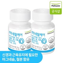풀무원 미네랄케어 마그네슘 망간 셀렌 철 아연 구리 크롬, 2개, 2개