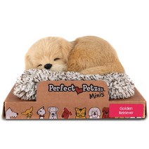 Perfect Petzzz 퍼펙트 펫 잠자는 강아지 숨쉬는 골든 미니 인형 Golden Retriever