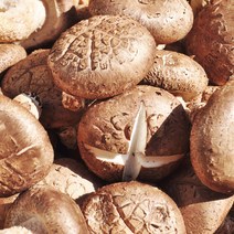 무농약 참나무 배지에서 자린 장흥 생표고버섯 4kg 가정용특품, 상세페이지 참조, 상세페이지 참조, 상세페이지 참조