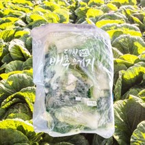 배추우거지 배추시래기 냉동시래기 10kg, 1개