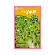 (DN) 새싹 경수채 씨앗(12g)
