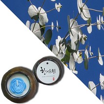늘향 늘향 상쾌함과 할력을주는 유칼립투스향 항아리캔들 (2737174), 1호 노랑