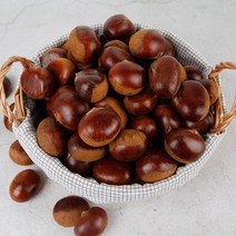 햇밤 알이 꽉찬 고소한 공주 정안밤 특대 1kg, 특대 8kg, 1개