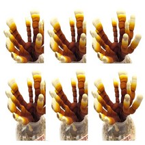 녹각영지 버섯 키우기 키트 6개 세트 배지 집에서 재배 종균 배양 무농약 약용버섯 노인정 복지관 학교 유치원 실습 자연체험학습 가정에서 식물 기르기 게임 부모님 취미생활 참나무톱밥, 녹각영지버섯키우기