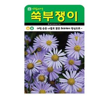 SN월드 야생화 씨앗 꽃씨앗 모음, 야생화 - 쑥부쟁이(500립)