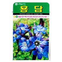 용담씨앗 1000알 용담 씨앗 야생화 꽃씨앗 꽃씨