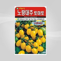 슬로시 슬로시 열매 씨앗 고추 토마토 콩 씨 종자, 노랑대추토마토30립(아람)