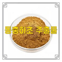 소율국제 동충하초 고농축 추출물 분말, 10:1, 200g, 1개