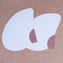 꼬마조개부채