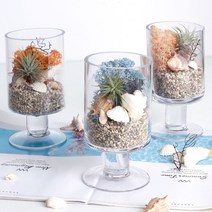 공기정화 천연 가습 DIY 테라리움 틸란드시아 이오난사 스칸디아모스, 버건디, 일자스탠드 DIY