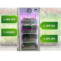 HT2900 새싹삼 재배기