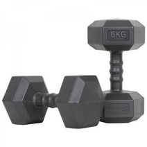 아이워너 맨즈 육각 아령 6kg 2개 세트 덤벨 헬스