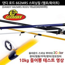 씨호크 스피닝 댄디로드 선상바다루어낚시대 광어참돔우럭쭈꾸미갑오징어, 댄디화이트 802MRS