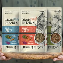 오담 강아지 화식사료 치킨 오리 연어 & 흰살생선 생식사료 1kg (100g x 10개), 연어&흰살생선