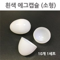 흰색 에그 캡슐 계란한판 (소형) 10개 고등과학 과학실험교구 방과후교실 실험키트 실기시험 실험실