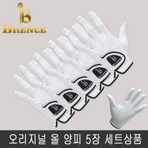 브렌스 오리지날 올양피 남성 골프장갑 5장 세트상품, 캠프빌리지 24호_5장세트상품