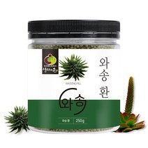 국산 식용 와송환 와송 정 250g, 와송 환 250g 1통