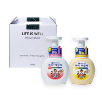 라이웰 아이깨끗해 핸드솝 핸드워시 250ml 세안 거품 클렌징 항균비누 손세정제 2P 선물세트, 파우더향1P+레몬향1P