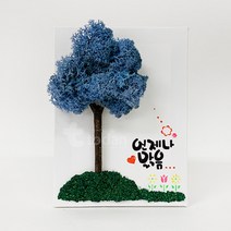 모스 캔버스액자 만들기 (언제나 맑음) - 5인세트, 1