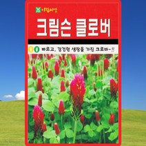 크림슨클로버 잔디씨앗 클로버 잔디씨 종자 20g, 단품